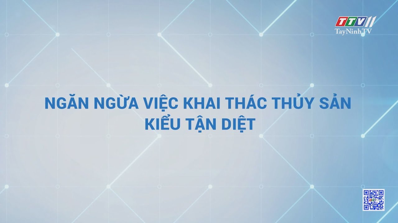 Ngăn ngừa việc khai thác thủy sản kiểu tận diệt | Tiếng nói cử tri | TayNinhTV